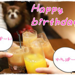 ソウルドレッシング - 