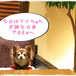 ソウルドレッシング - お誕生日席に座るマナちゃん