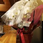 中華そば きなり - 