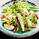 organic vegetable green salad