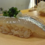 鮨屋とんぼ - さより