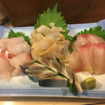 いま井寿司 - スズキ、つぶ貝、カンパチ、コハダです