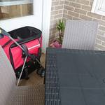 自家製生麺専門 プレミアム ポタパスタ カフェ リゾート - テラス席