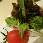 ダンドロ ダンドロ - 前菜のグリーンサラダ