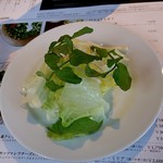 カフェ＆ガーデン しらさぎ邸 - サラダ