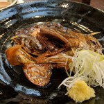 旬魚菜 しら川 - 