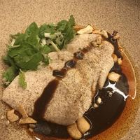 CINA New Modern Chinese - 