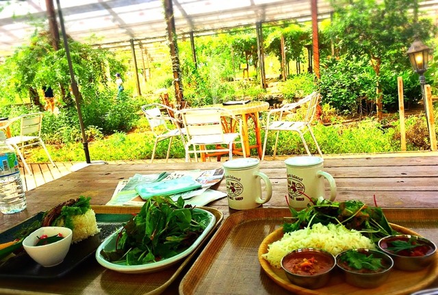 久遠 隊長さんが投稿した大多喜ハーブガーデン 千葉 大多喜 の口コミ詳細 食べログ 久遠 隊長さんが投稿した大多喜ハーブガーデン 千葉 大多喜 の口コミ詳細 食べログ