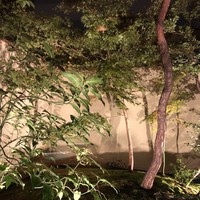 山地陽介 - 