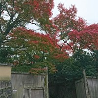 THE SODOH HIGASHIYAMA KYOTO - 門はまるで撮影スポット！多国籍な観光客が代わる代わる順番待ちしていました。