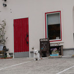 Mcafe - 