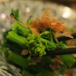 酒菜坊 橋蔵 - 菜花からし和喰らう