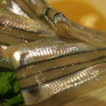 酒菜坊 橋蔵 - きびなご刺　ズームアップ