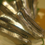 酒菜坊 橋蔵 - きびなご刺　ズームアップ