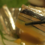 酒菜坊 橋蔵 - きびなご刺喰らう