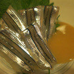 酒菜坊 橋蔵 - きびなご刺　ズームアップ