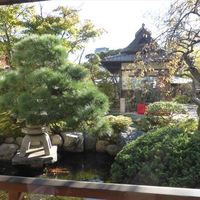 東京 芝 とうふ屋うかい - 窓外の庭