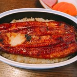 うなぎ亭 友栄 - 上うな重 ハーフ