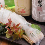 銀しゃり炉端 てる房 teamJ