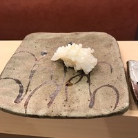 鮨 香坂 - 槍烏賊！
