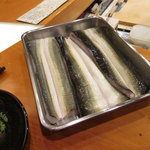 日本料理 たかむら - 宍道湖産特大天然鰻