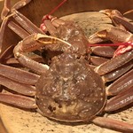 かにじぇんぬ 北新地 - 