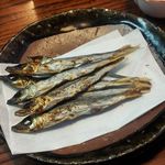 利久庵 - うるめいわし（土佐）５５０円