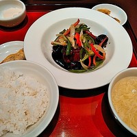碧麗春 - 