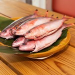 海の恵  - 県産魚グルクン