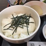 ささら - とろろ御飯