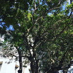 ルアン 神戸迎賓館 - 