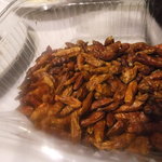 ristorante ANDREA - イタリア産タカノツメ　【　２０１１年９月　】48