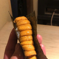 富小路 やま岸 - 