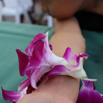 Waikiki Starlight Luau - レイ作れるよ！！