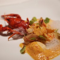 FURUYA　augastronome - 15