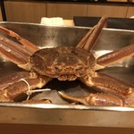 はらまさ - 松葉蟹^_^