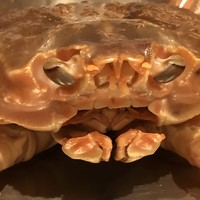 はらまさ - 蟹が こっちを じっと見ているみたい^_^