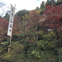 うかい鳥山 - 