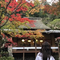うかい鳥山 - 
