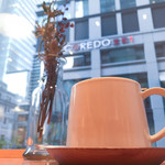 ドータベルカ - 