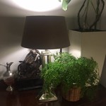 デュ・ヴァン・ハッシシ - 