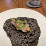 ル スプートニク - 