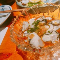 庵侍燈 - 