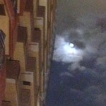 飲食笑商何屋ねこ膳 - 月食過ぎ