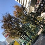 はらまさ - 移転後 行って迷いました。この先は新宿御苑。 写真の 左は四谷4丁目のバス停。右は らぽっぽファーム と言うパン屋さん。その向こうは公園。パン屋さんと公園の間の階段を 降りて、地下に 行きます。
      