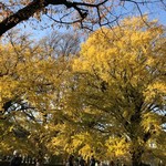 はらまさ - 新宿御苑