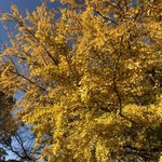 はらまさ - 新宿御苑