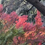 はらまさ - 新宿御苑