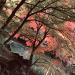 はらまさ - 新宿御苑