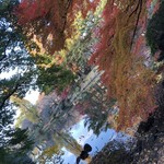 はらまさ - 新宿御苑